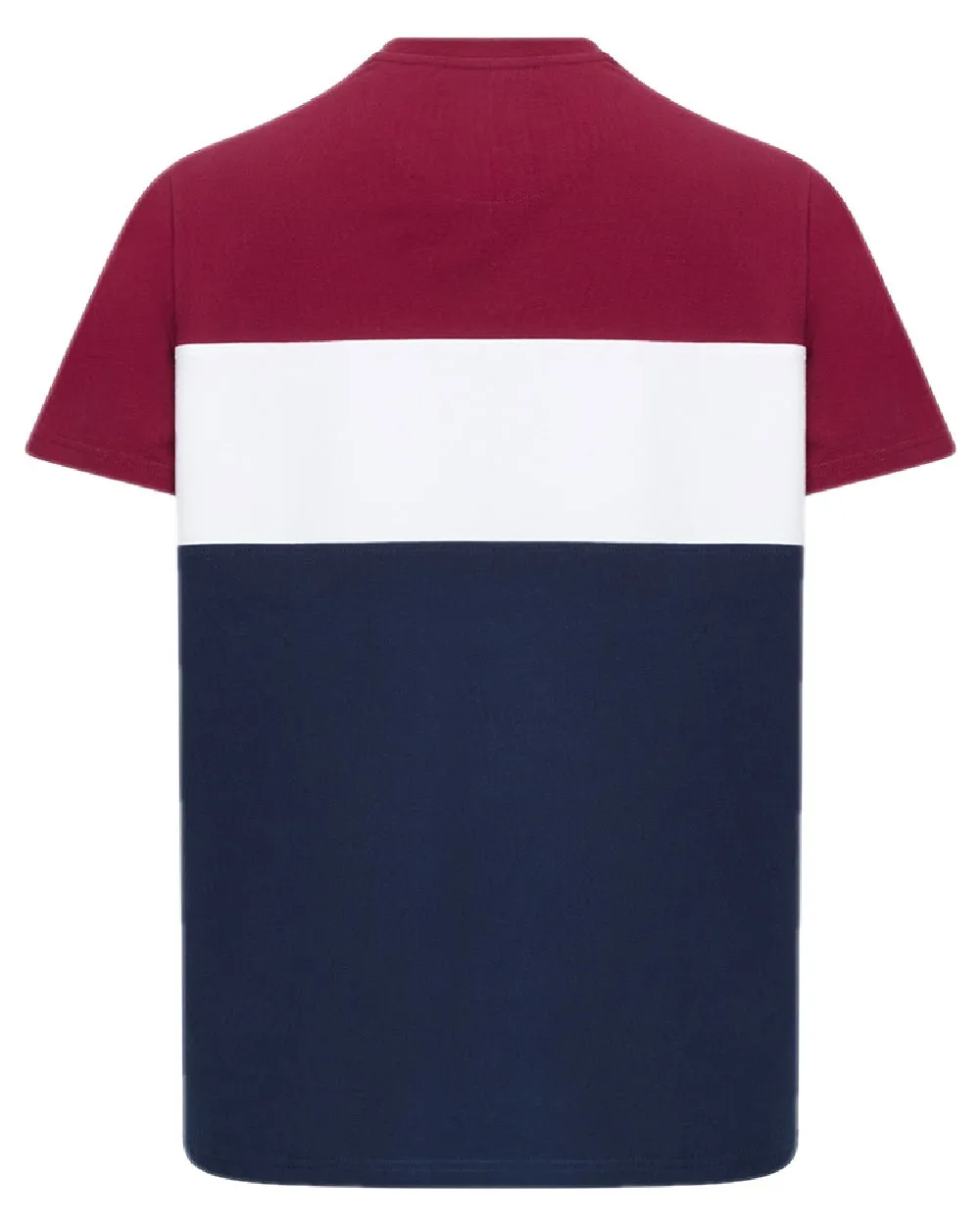 Hoggs of Fife Mens Dalbeattie Colour Block T-Shirt
