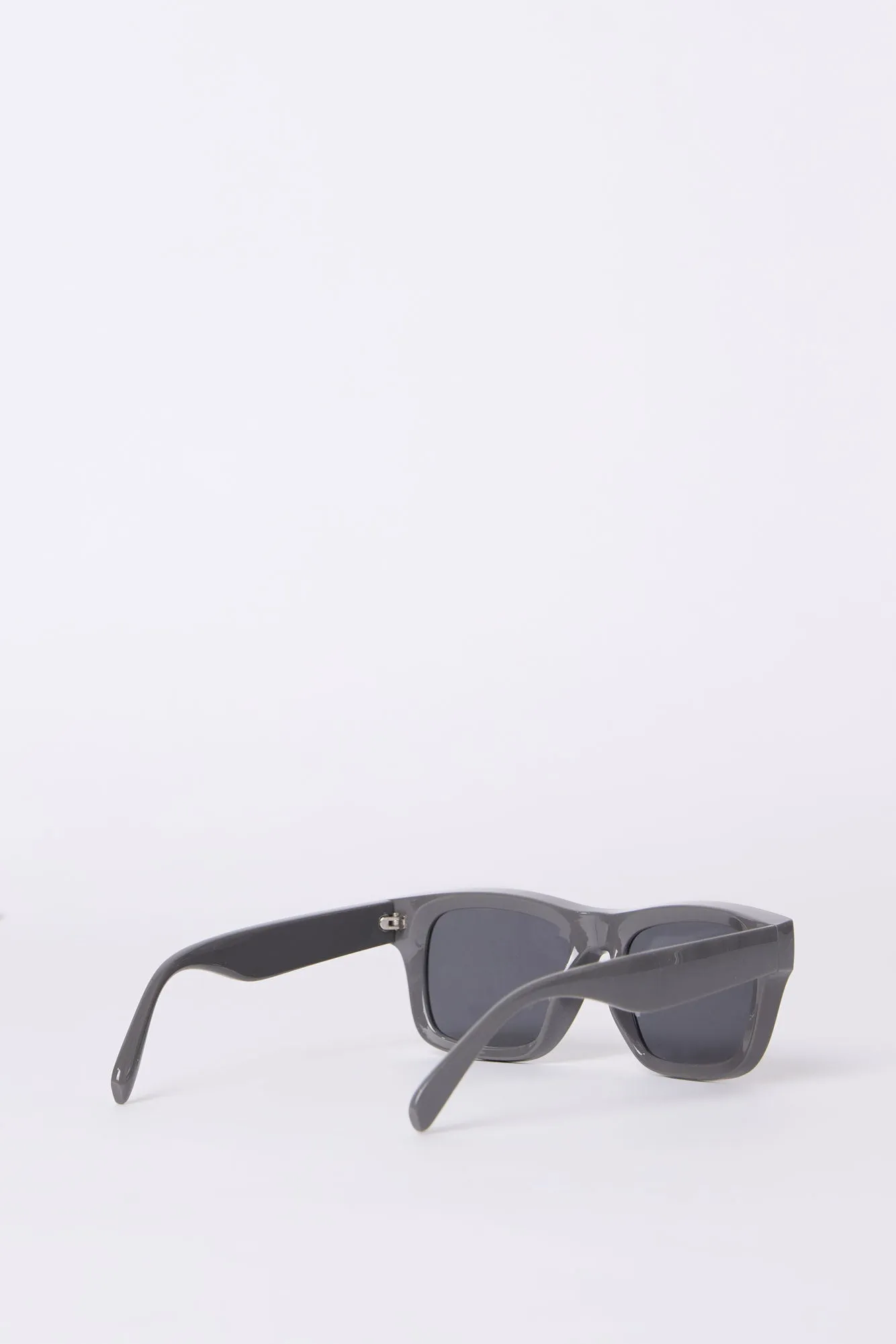Thick Frame Wayfarer Sunglasses