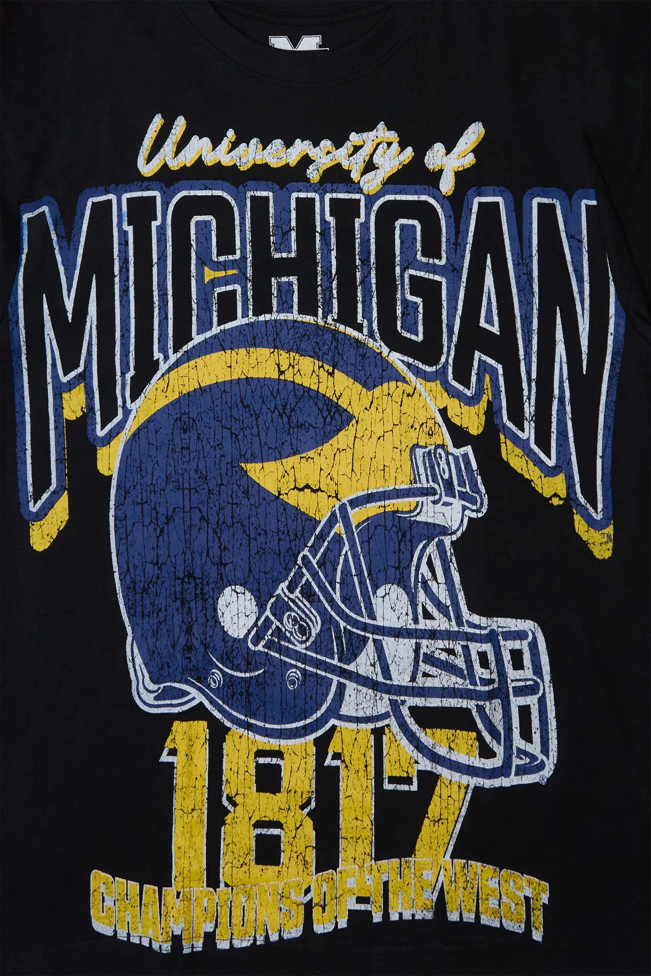 University of Michigan Graphic Tee